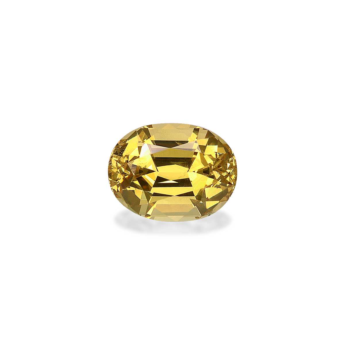 Golden Yellow Grossular Garnet 2.89ct - 9x7mm