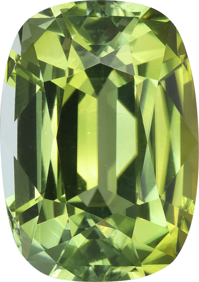 Cushion cut cuprian tourmaline, 20.16 by 14.17 mm, shown at actual size