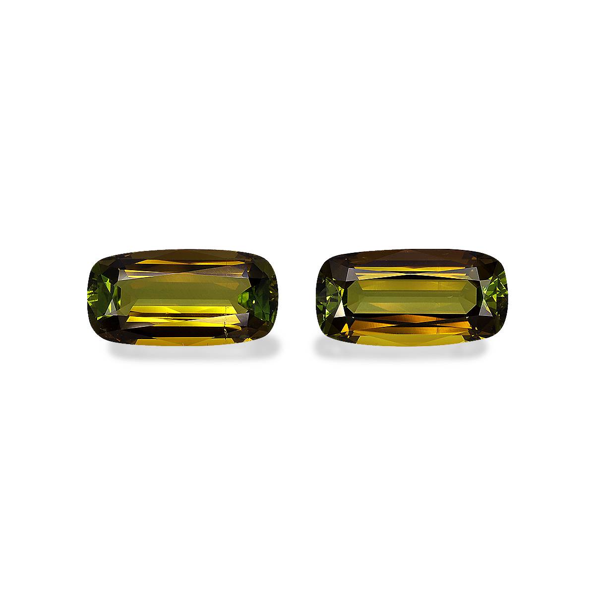 Forest Green Cuprian Tourmaline 19.01ct Pair