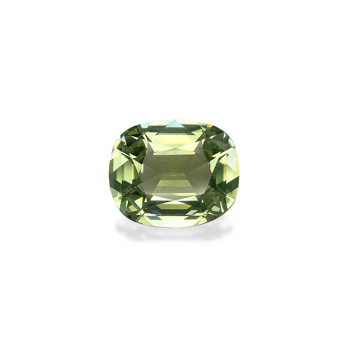 Pale Green Cuprian Tourmaline 8.49ct