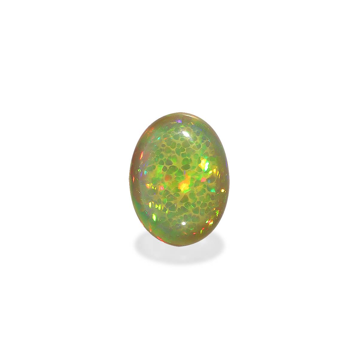 Mixed Colour Ethiopian Opal 5.14ct
