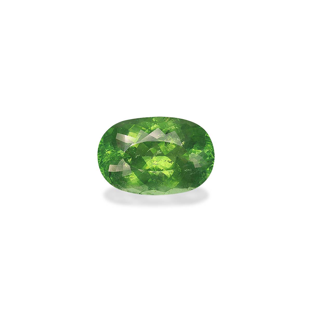 Vivid Green Paraiba Tourmaline 20.53ct