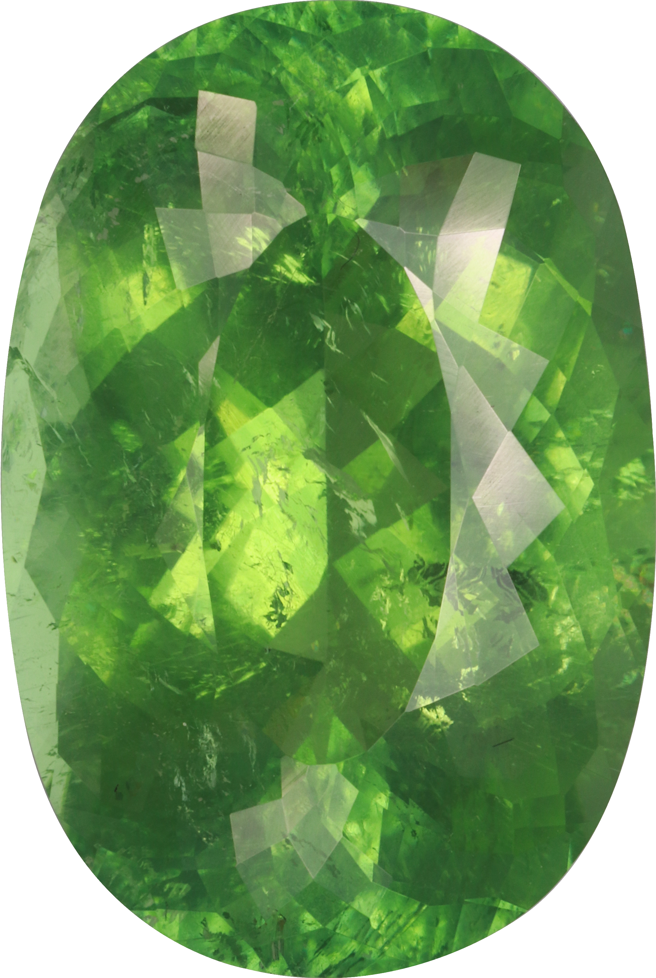 Oval cut paraiba tourmaline, 22.02 by 14.74 mm, shown at actual size