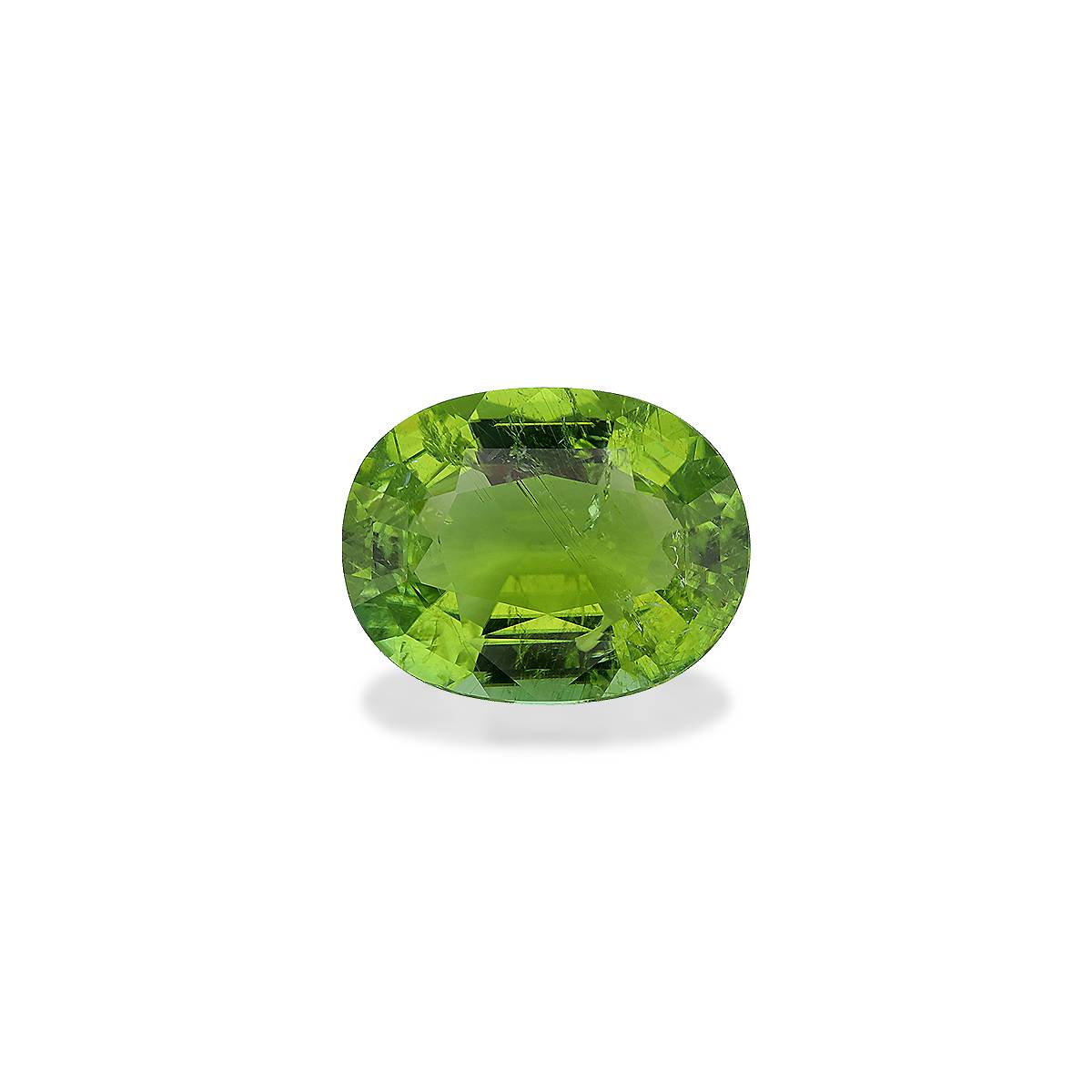 lime green paraiba tourmaline, 15.85ct oval cut — main view
