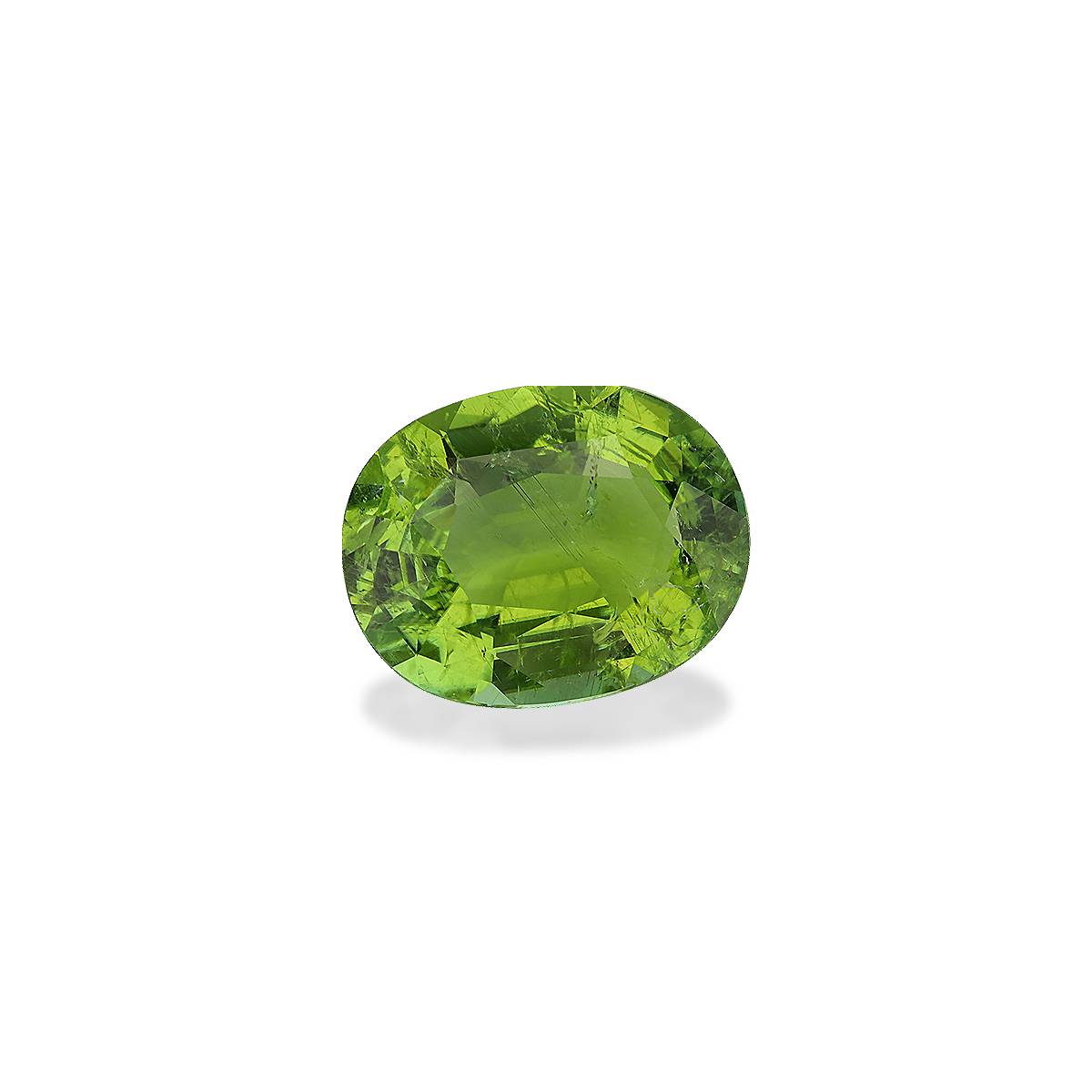 lime green paraiba tourmaline, 15.85ct oval cut — view 3