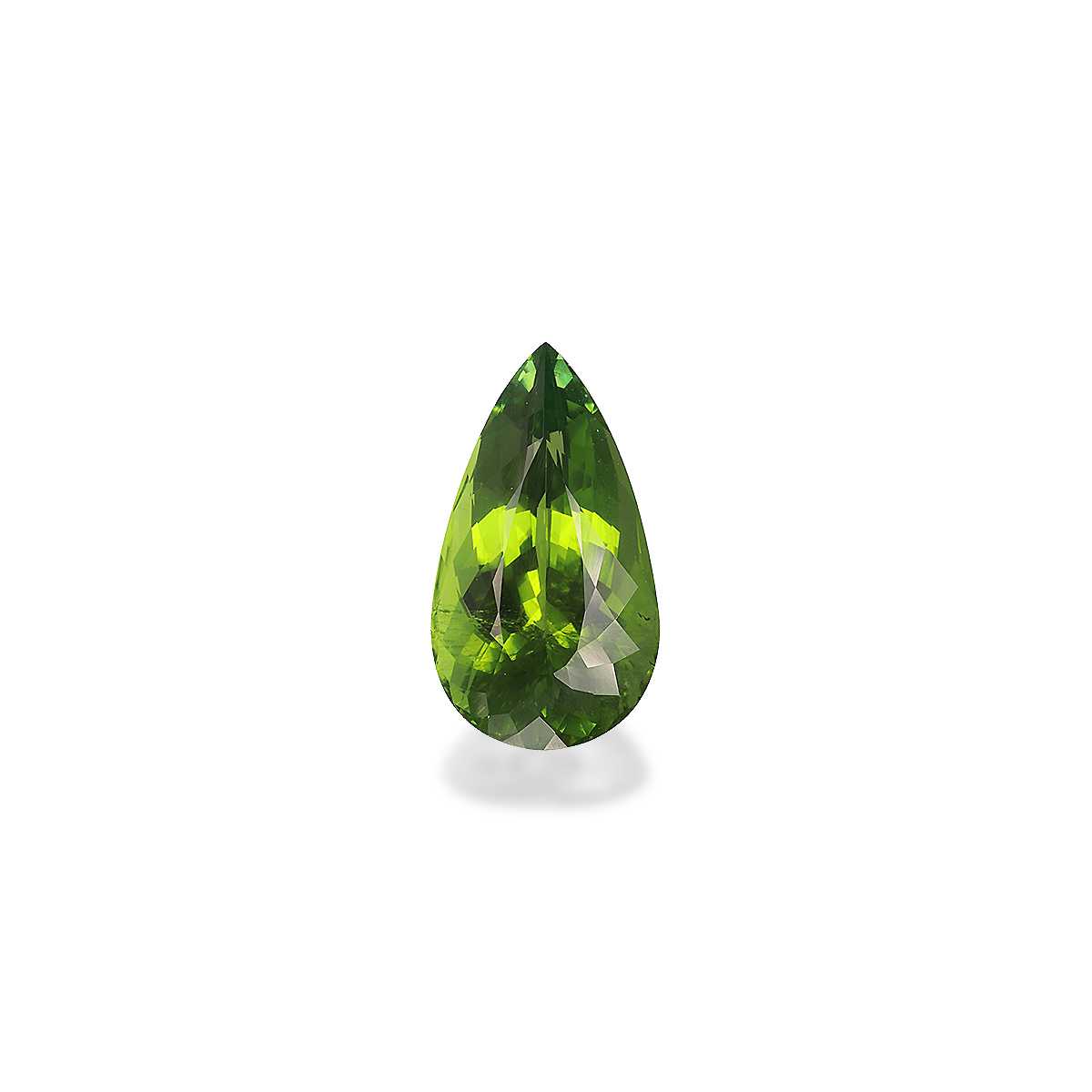 Vivid Green Paraiba Tourmaline 19.12ct