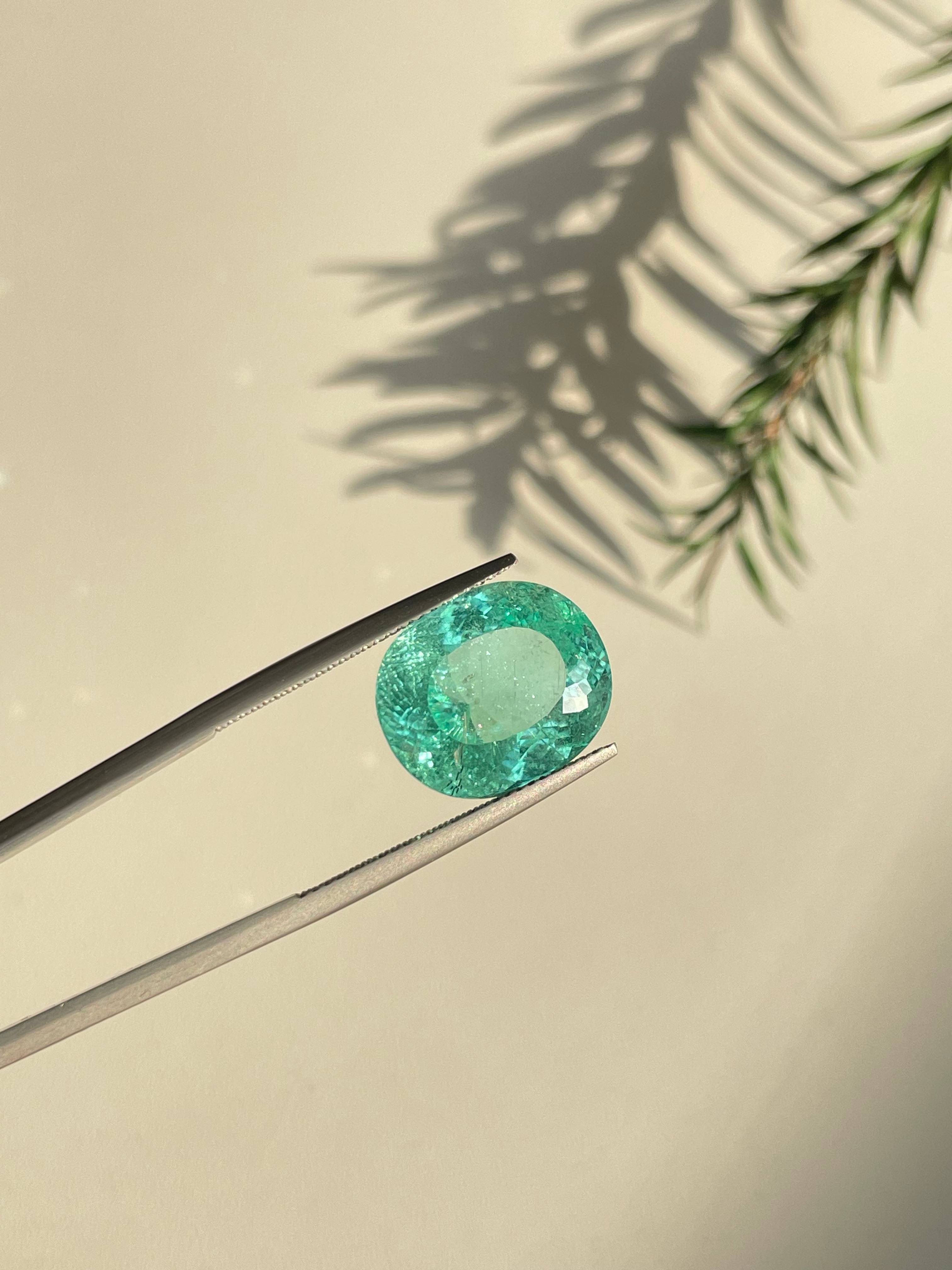 Neon green paraiba tourmaline, 10.46ct oval cut — view 5
