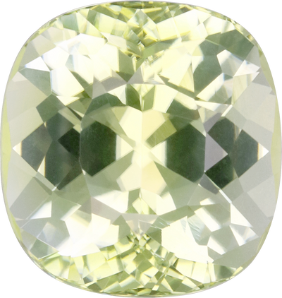 Oval cut paraiba tourmaline, 12.54 by 11.84 mm, shown at actual size