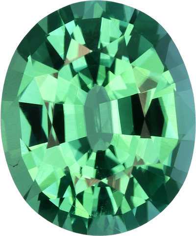 Oval cut paraiba tourmaline, 10.08 by 8.39 mm, shown at actual size