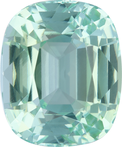 Cushion cut paraiba tourmaline, 24.09 by 19.91 mm, shown at actual size