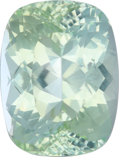 Cushion cut paraiba tourmaline, 16.44 by 12.53 mm, shown at actual size