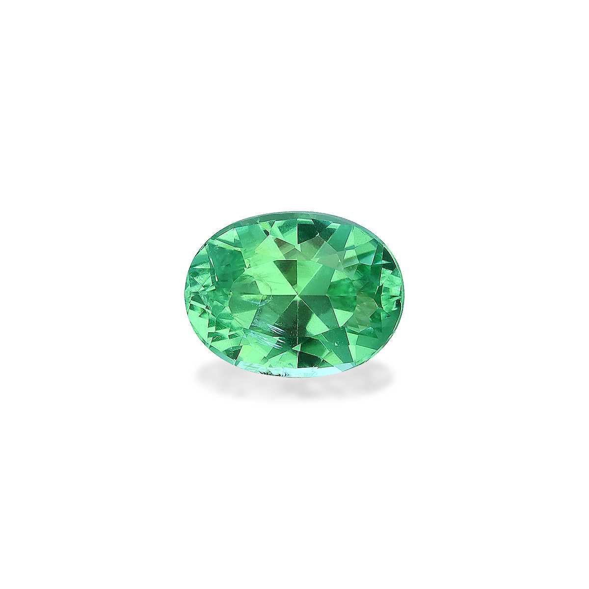 Neon Green Paraiba Tourmaline 1.50ct - 8x6mm