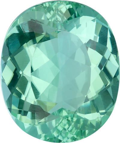 Oval cut paraiba tourmaline, 26.82 by 22.28 mm, shown at actual size