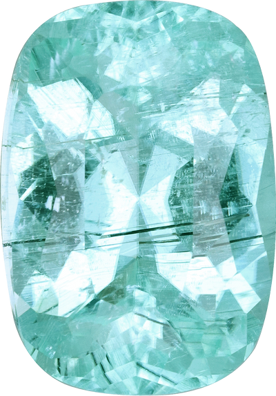 Cushion cut paraiba tourmaline, 13.74 by 9.63 mm, shown at actual size