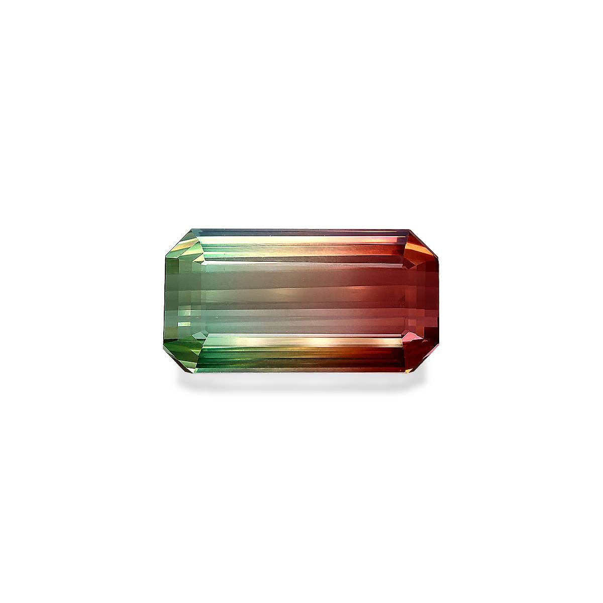 Watermelon Bi Colour Tourmaline 71.02ct