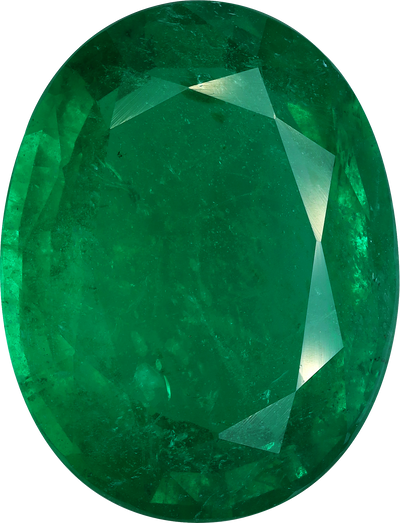 Oval cut colombian emerald, 25.03 by 19.15 mm, shown at actual size