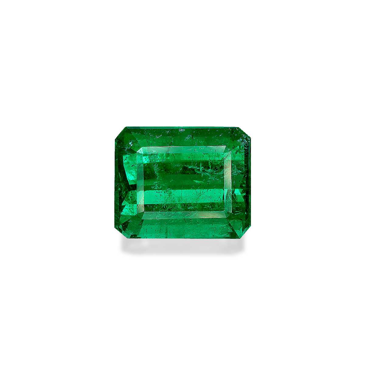Vivid Green Panjshir Emerald 15.91ct