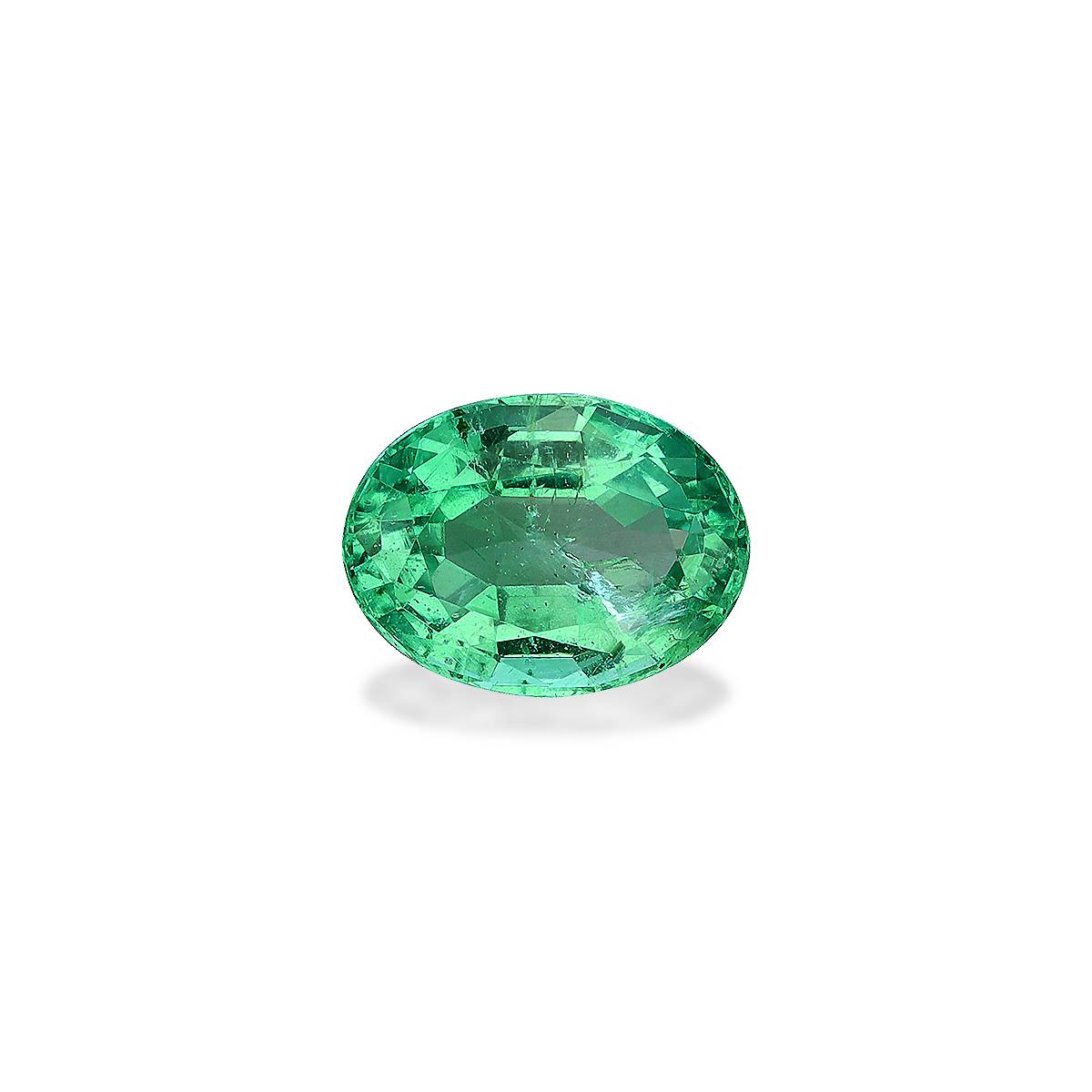 Green Zambian Emerald 1.27ct - 8x6mm