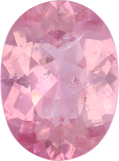 Oval cut pink tourmaline, 18.09 by 13.31 mm, shown at actual size