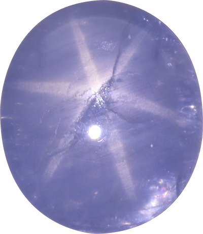 Oval cut star sapphire, 15.6 by 11.8 mm, shown at actual size