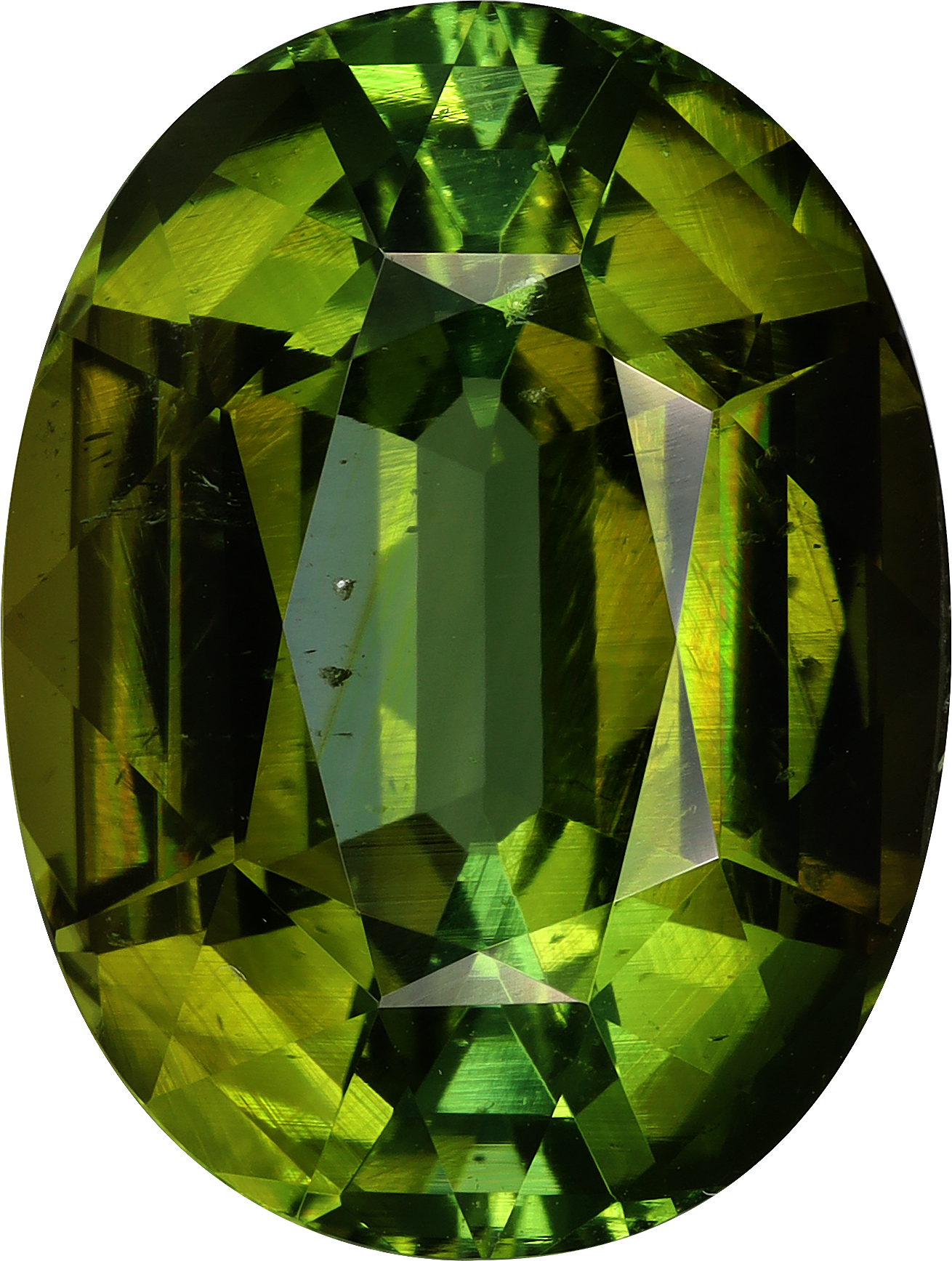 Oval cut green tourmaline, 20.03 by 15.1 mm, shown at actual size