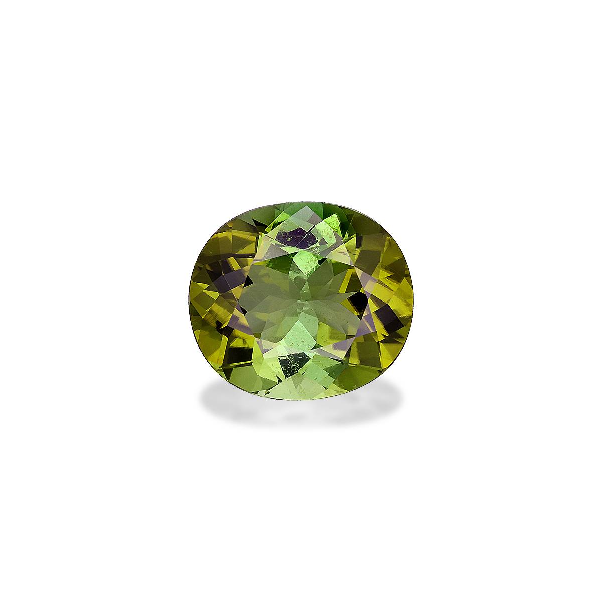 Moss Green Tourmaline 9.26ct - 15x13mm