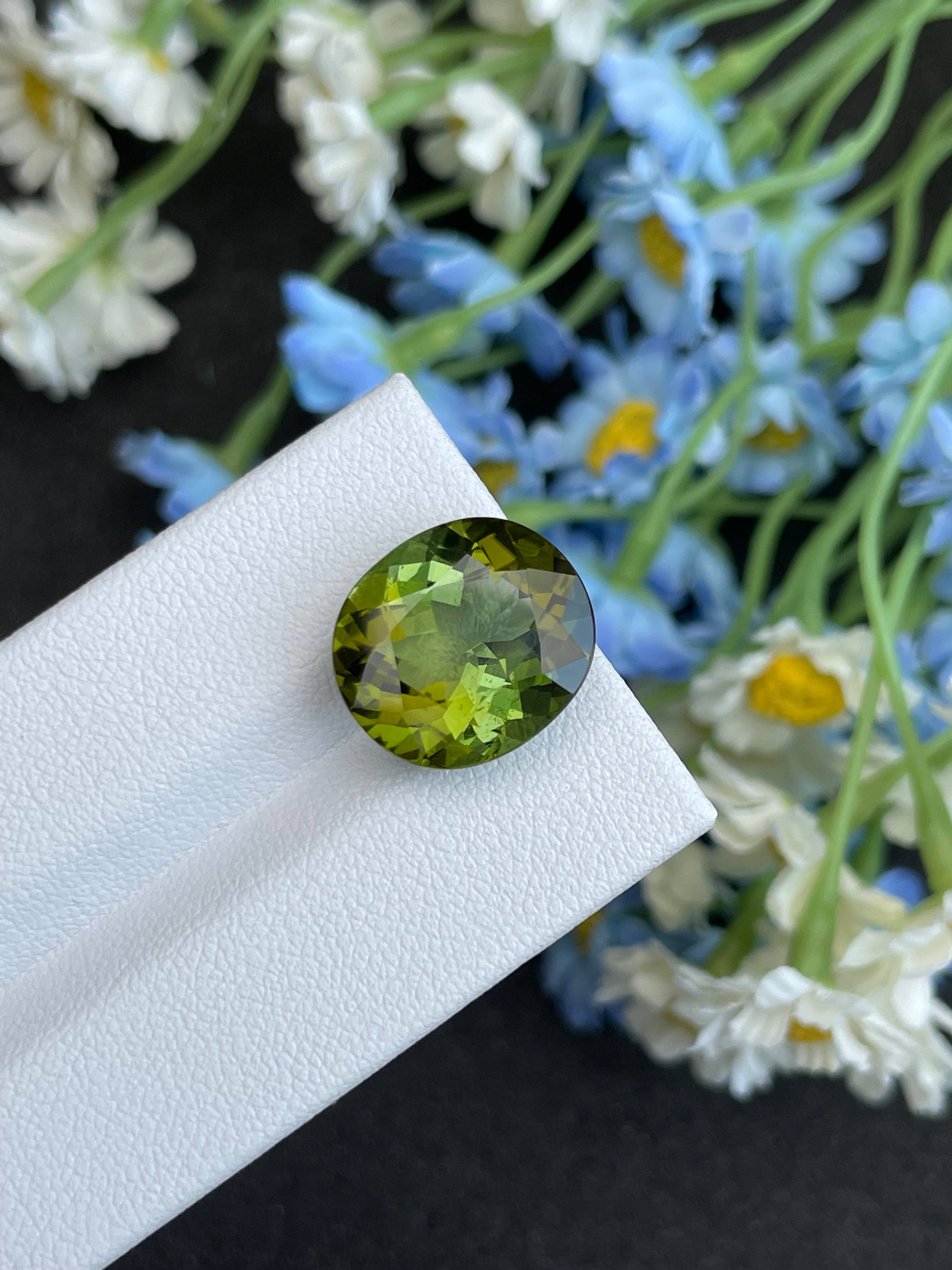 moss green green tourmaline, 9.26ct oval cut — view 5
