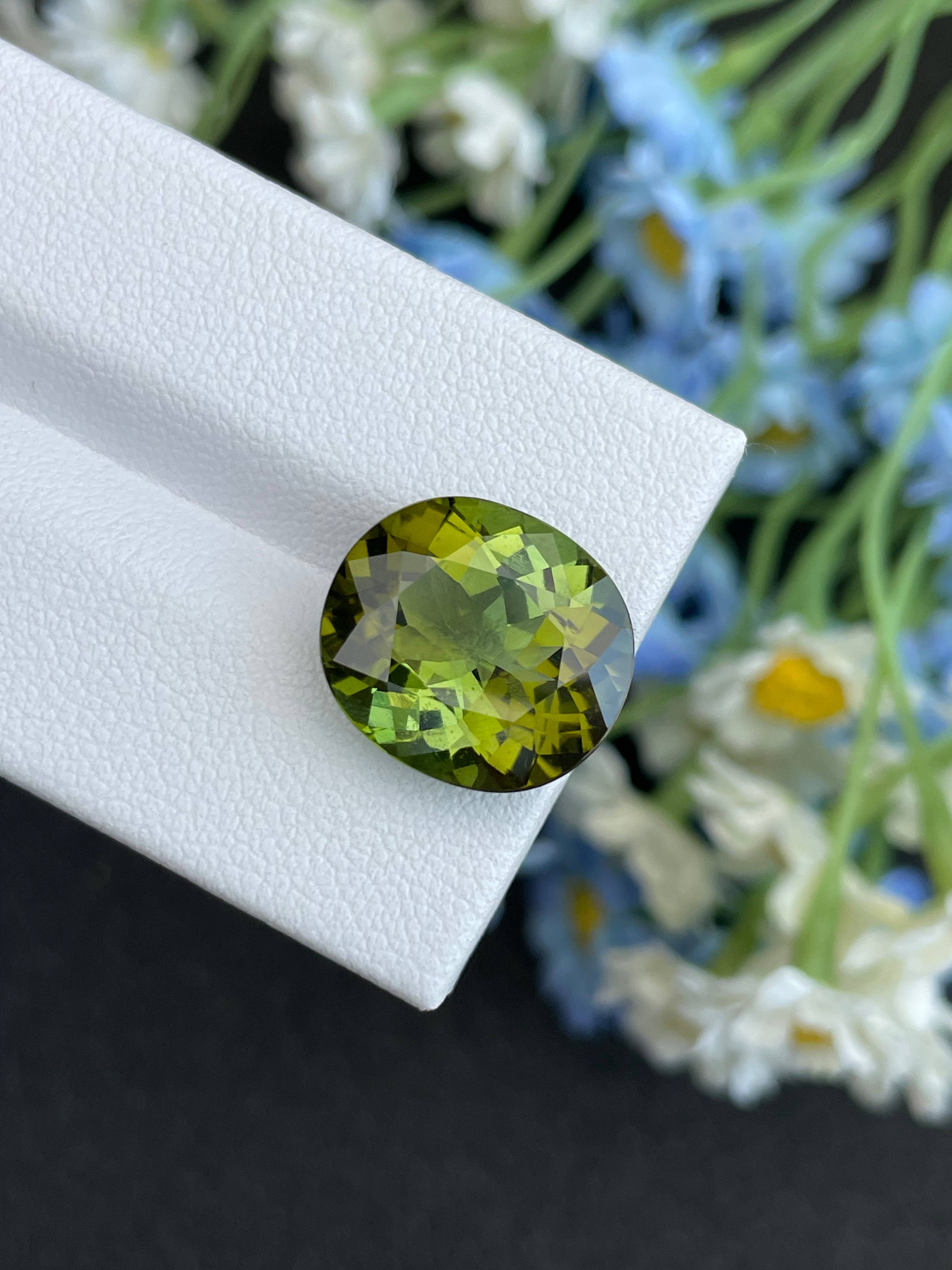 moss green green tourmaline, 9.26ct oval cut — view 6