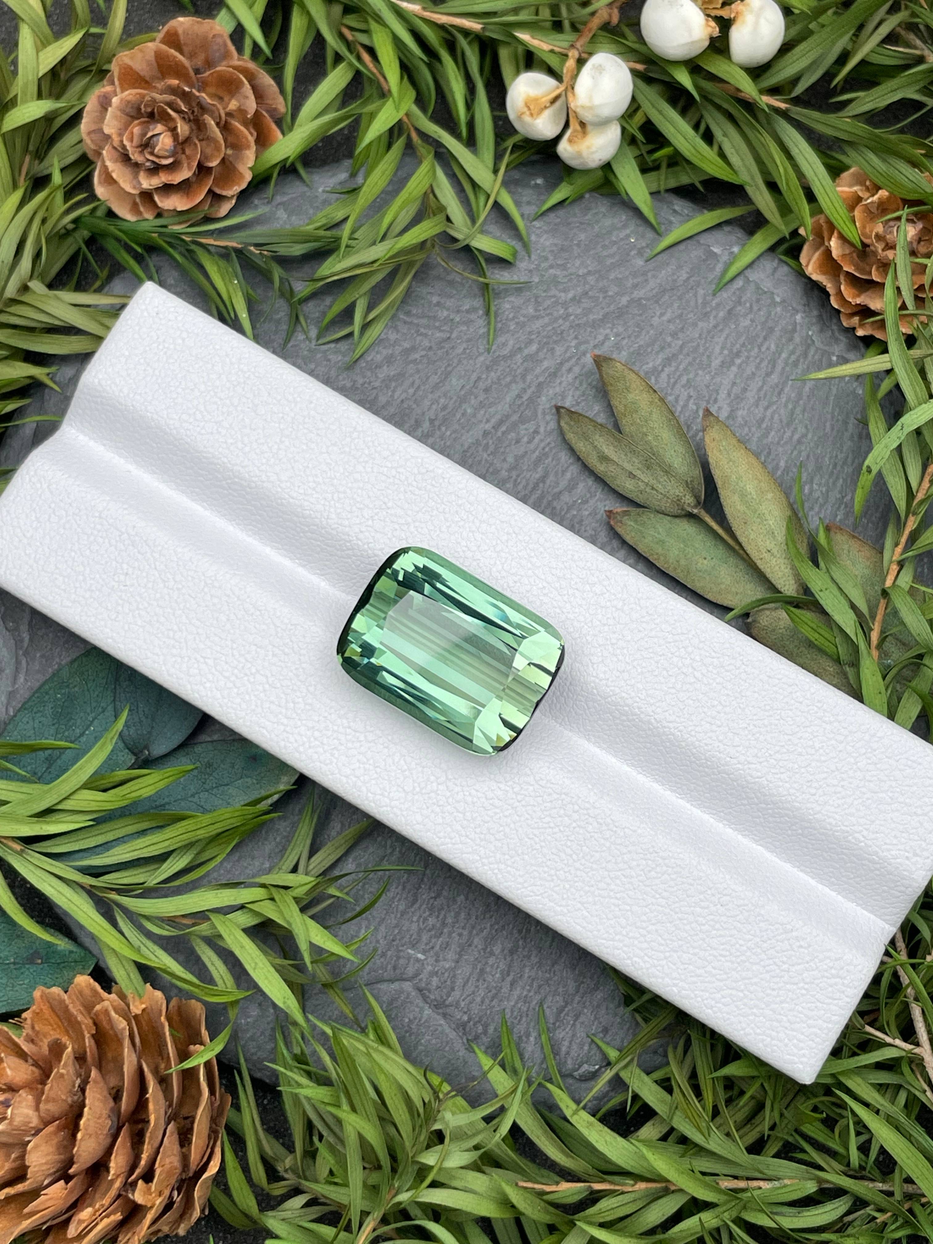 moss green green tourmaline, 23.3ct cushion cut — view 5