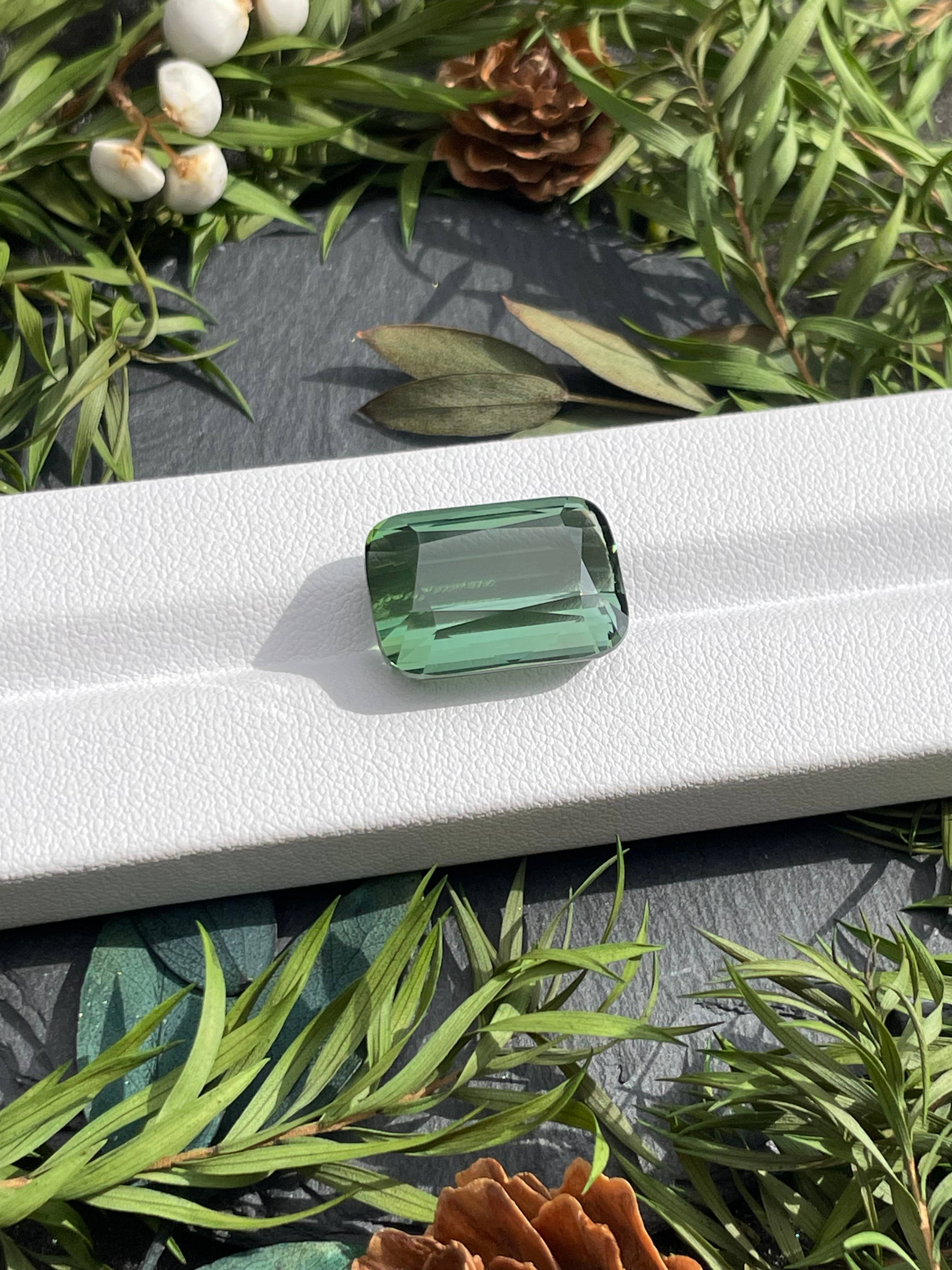 moss green green tourmaline, 23.3ct cushion cut — view 6