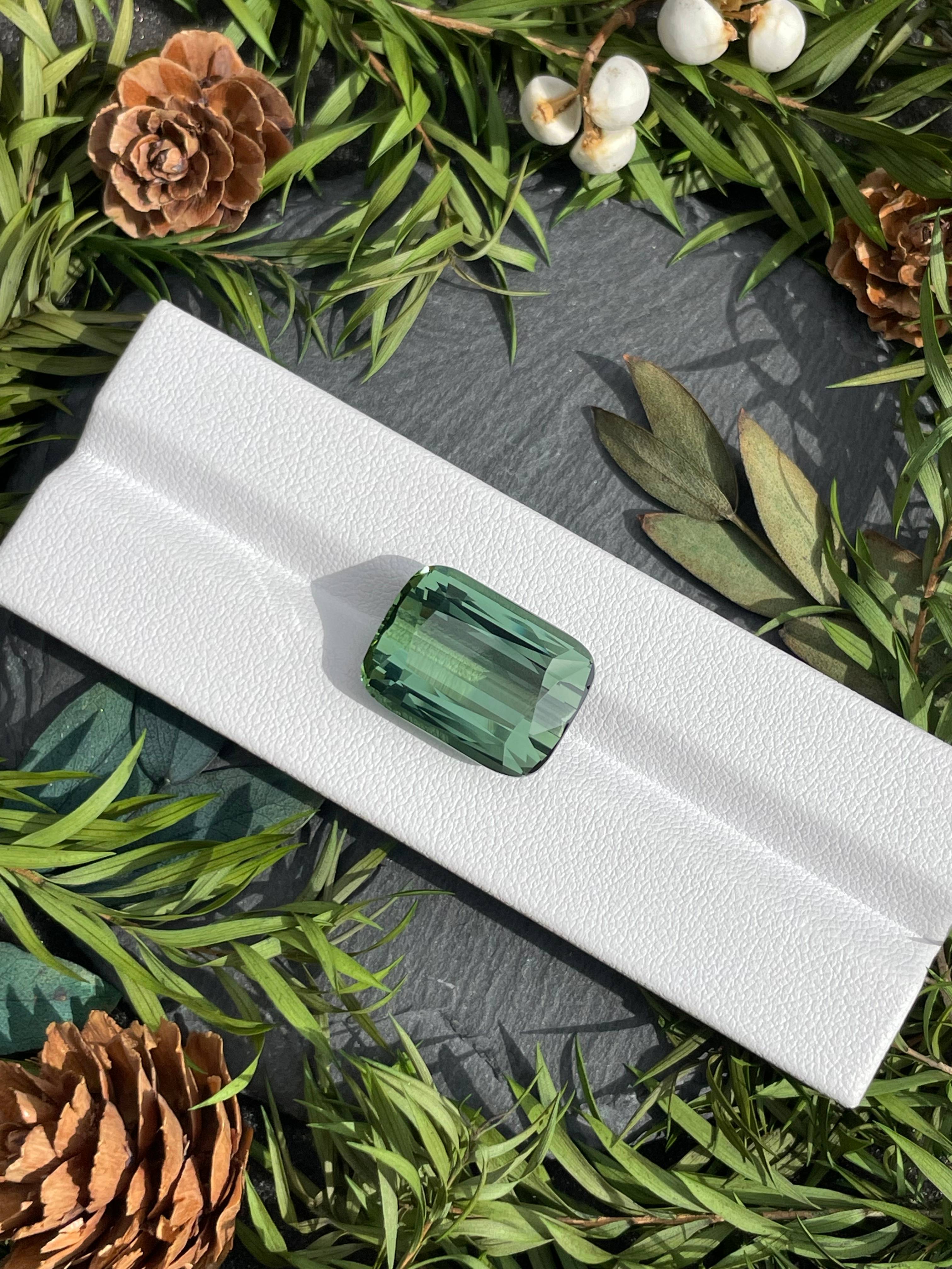 moss green green tourmaline, 23.3ct cushion cut — view 7
