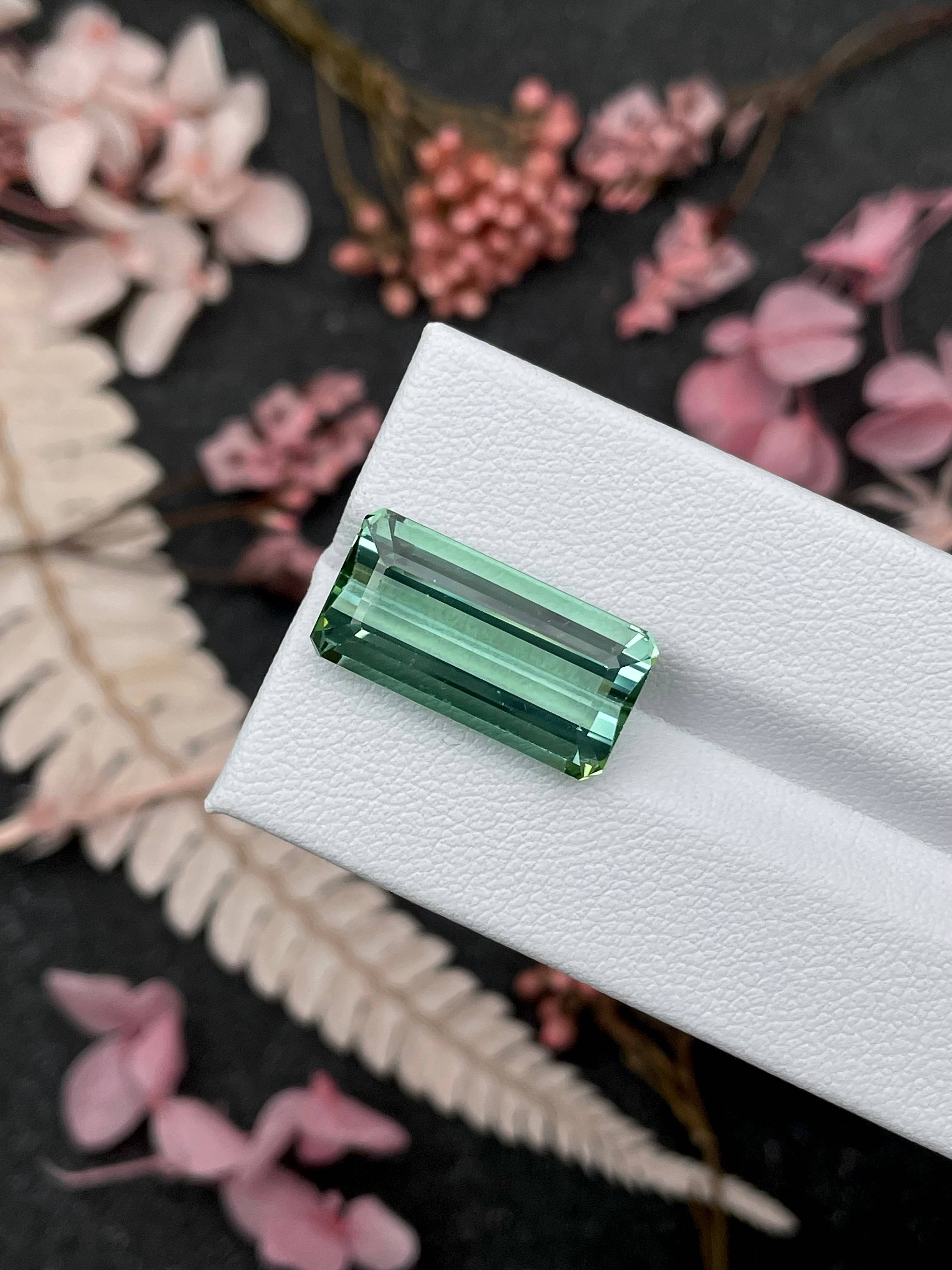 seafoam green green tourmaline, 12.78ct rectangular cut — view 5