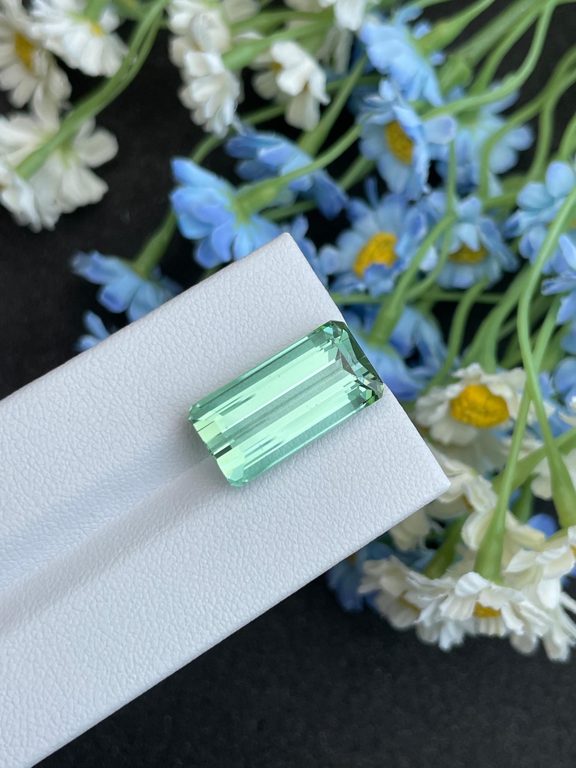 seafoam green green tourmaline, 12.78ct rectangular cut — view 8