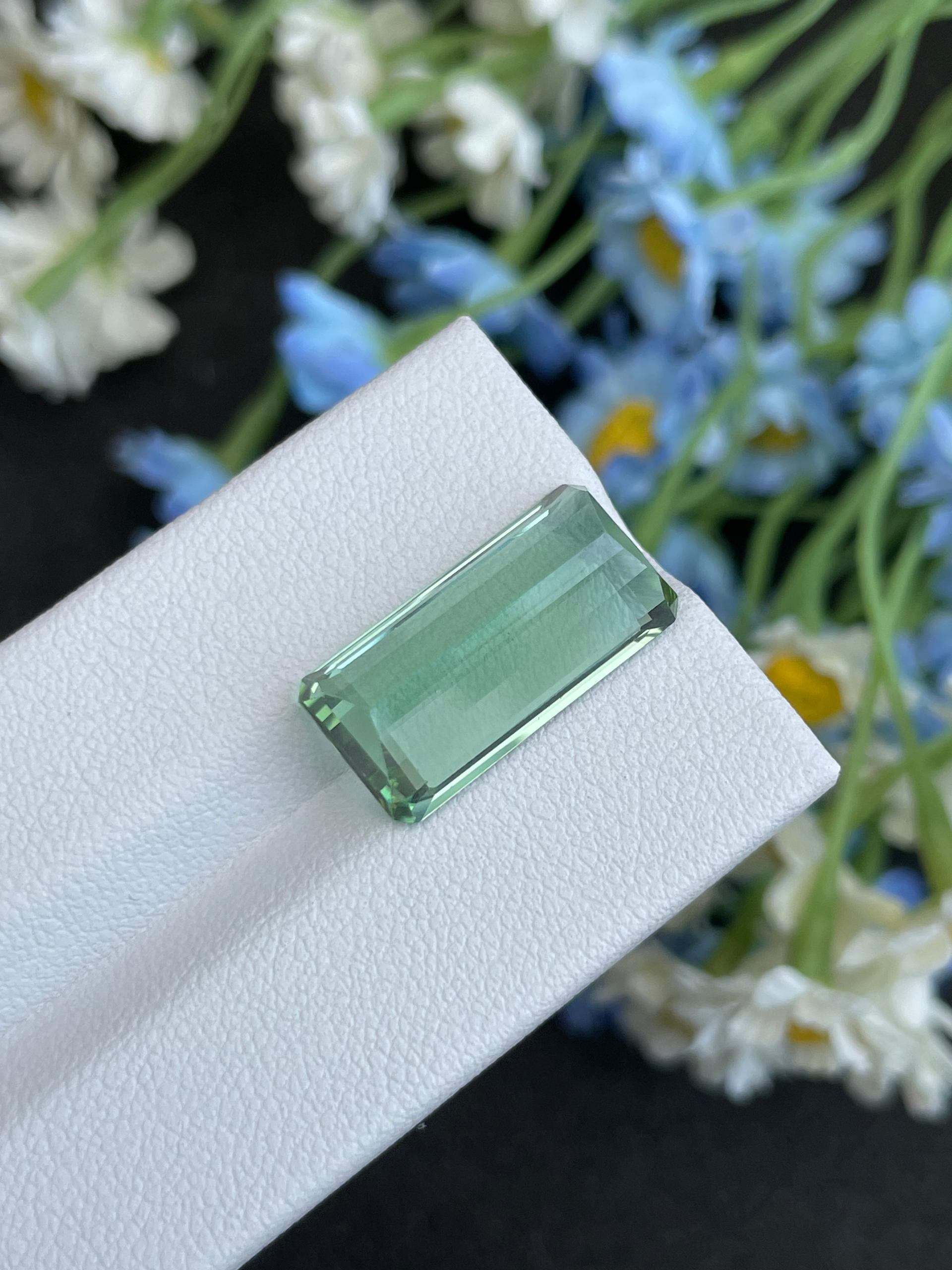 seafoam green green tourmaline, 12.78ct rectangular cut — view 10