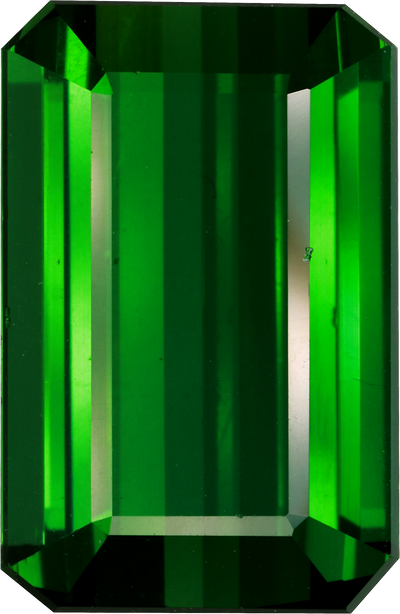 Rectangular cut green tourmaline, 16.91 by 10.99 mm, shown at actual size