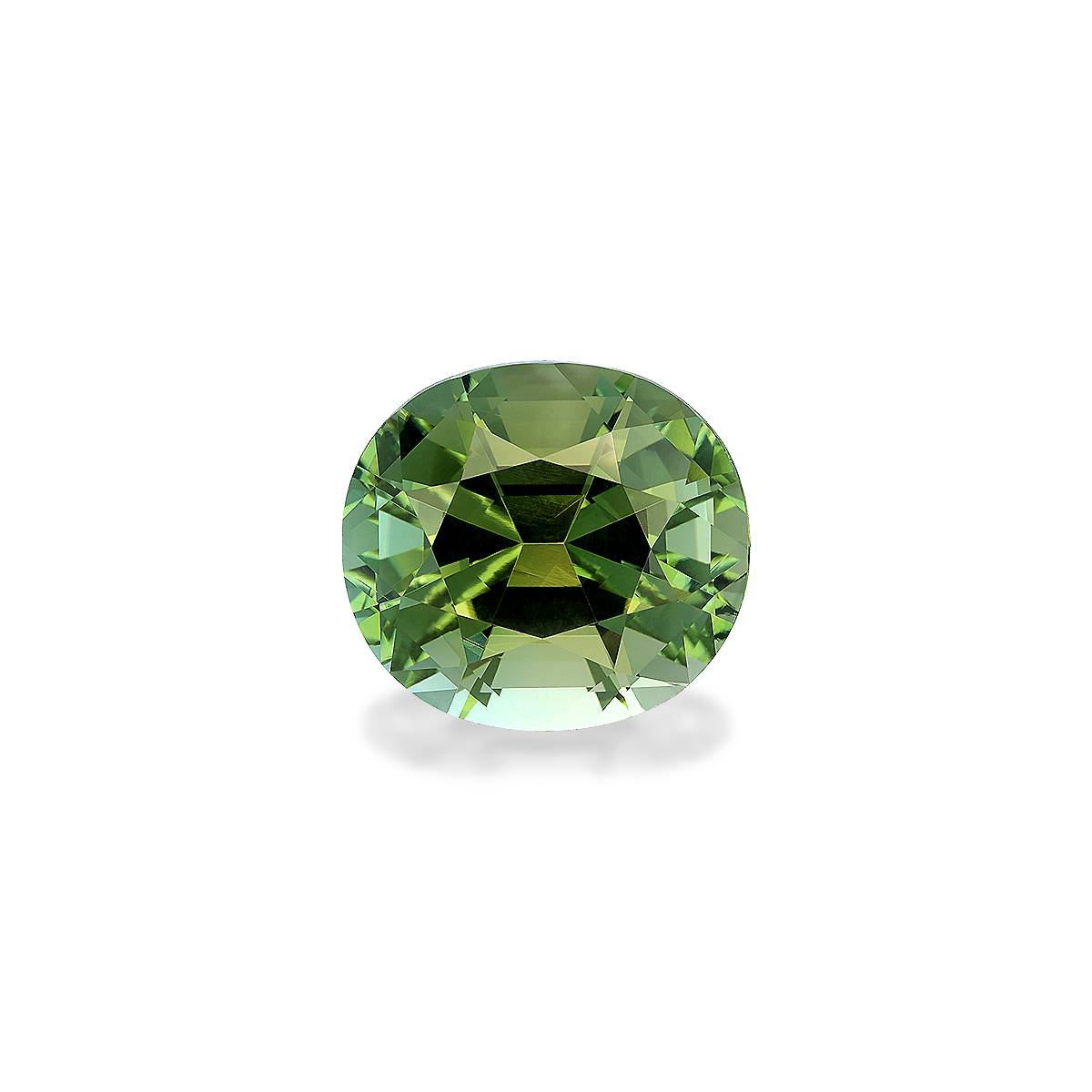 Green Tourmaline 18.89ct - 18x16mm