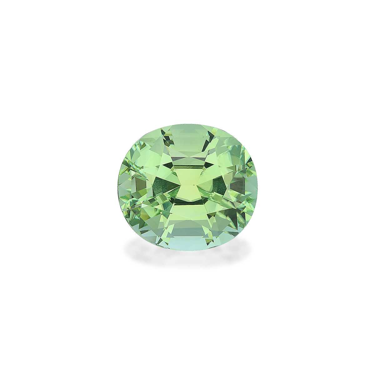 Green Tourmaline 18.83ct - 18x16mm