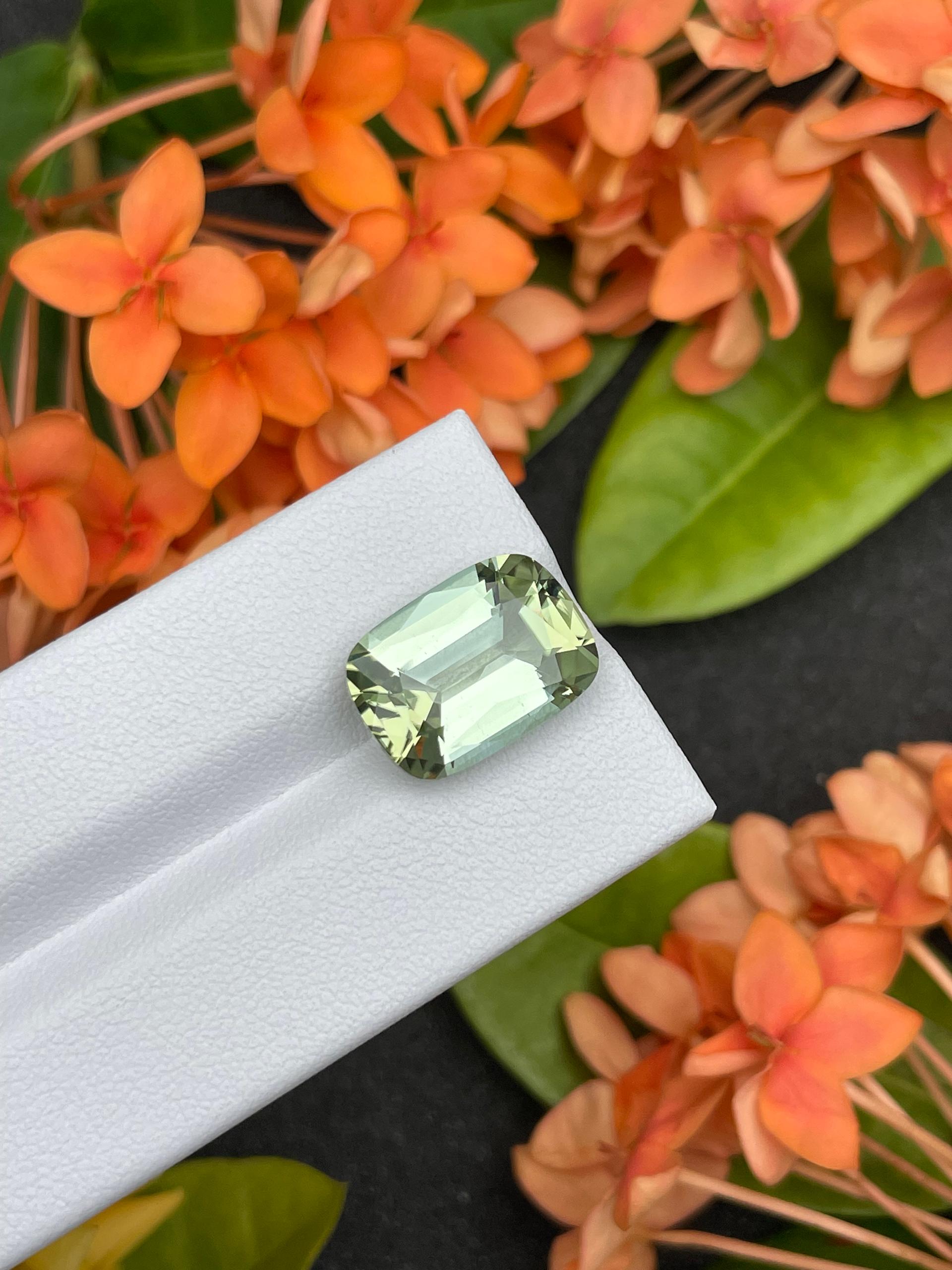 mist green green tourmaline, 9.32ct cushion cut — view 8