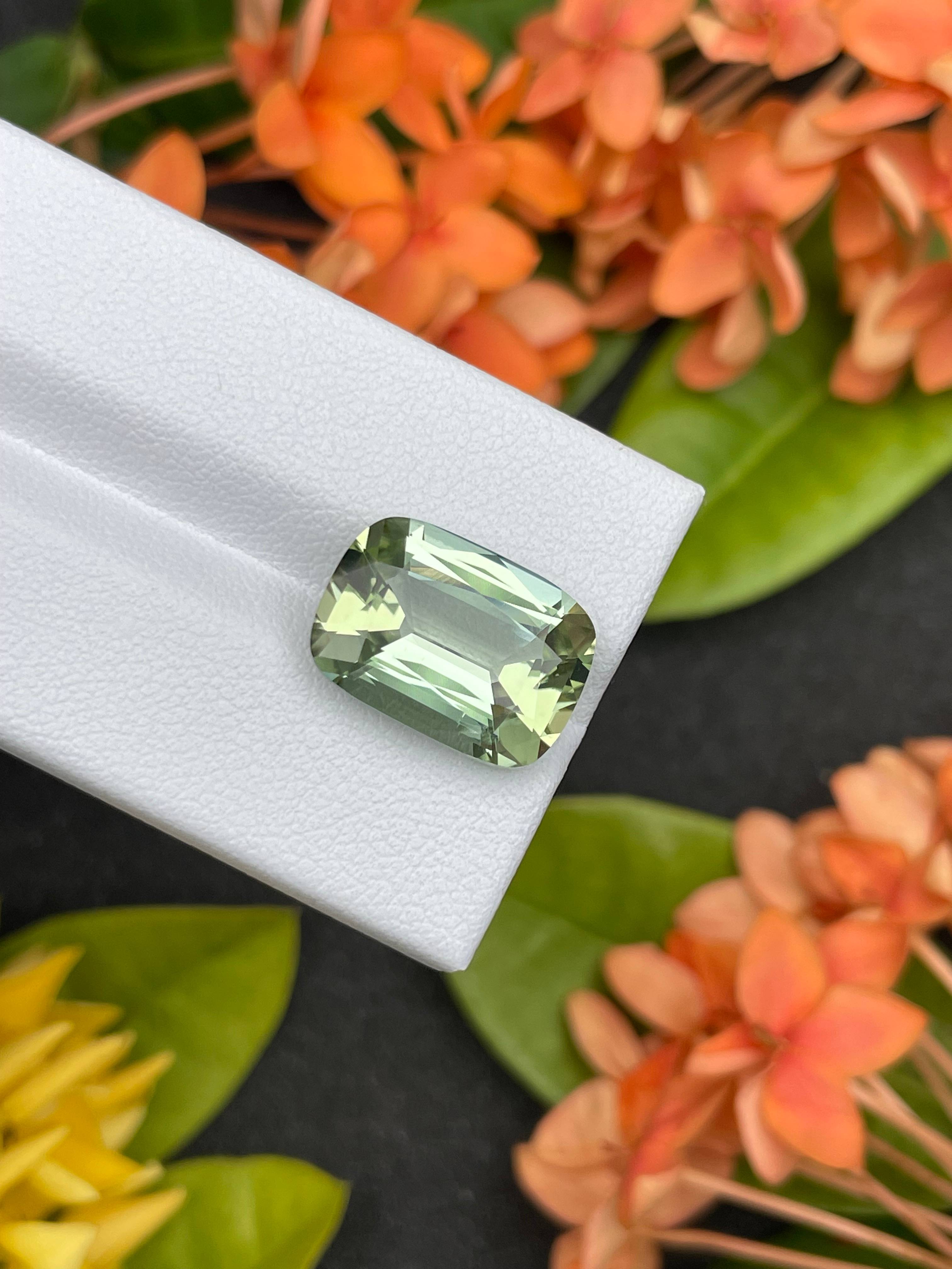 mist green green tourmaline, 9.32ct cushion cut — view 9