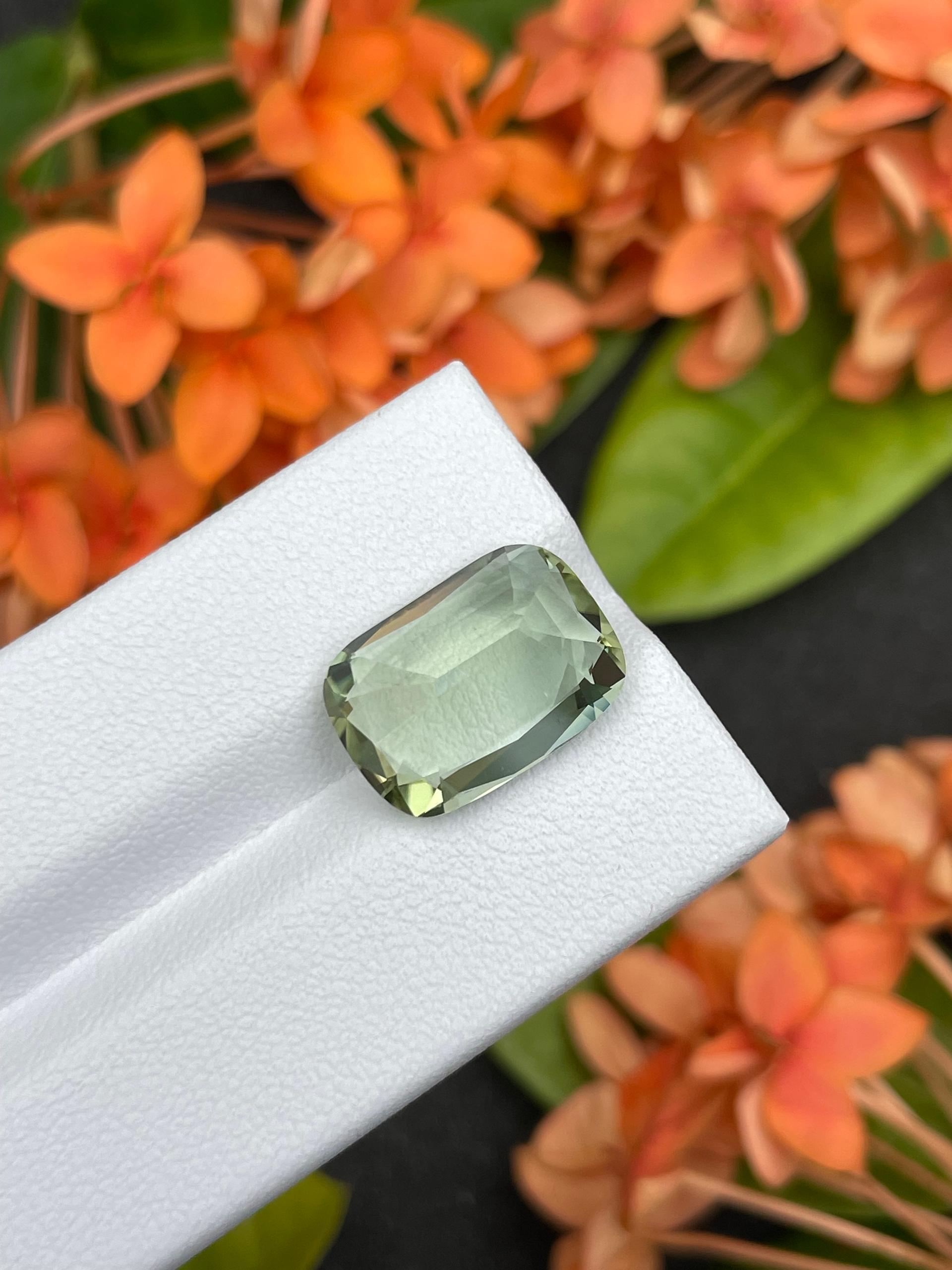 mist green green tourmaline, 9.32ct cushion cut — view 10