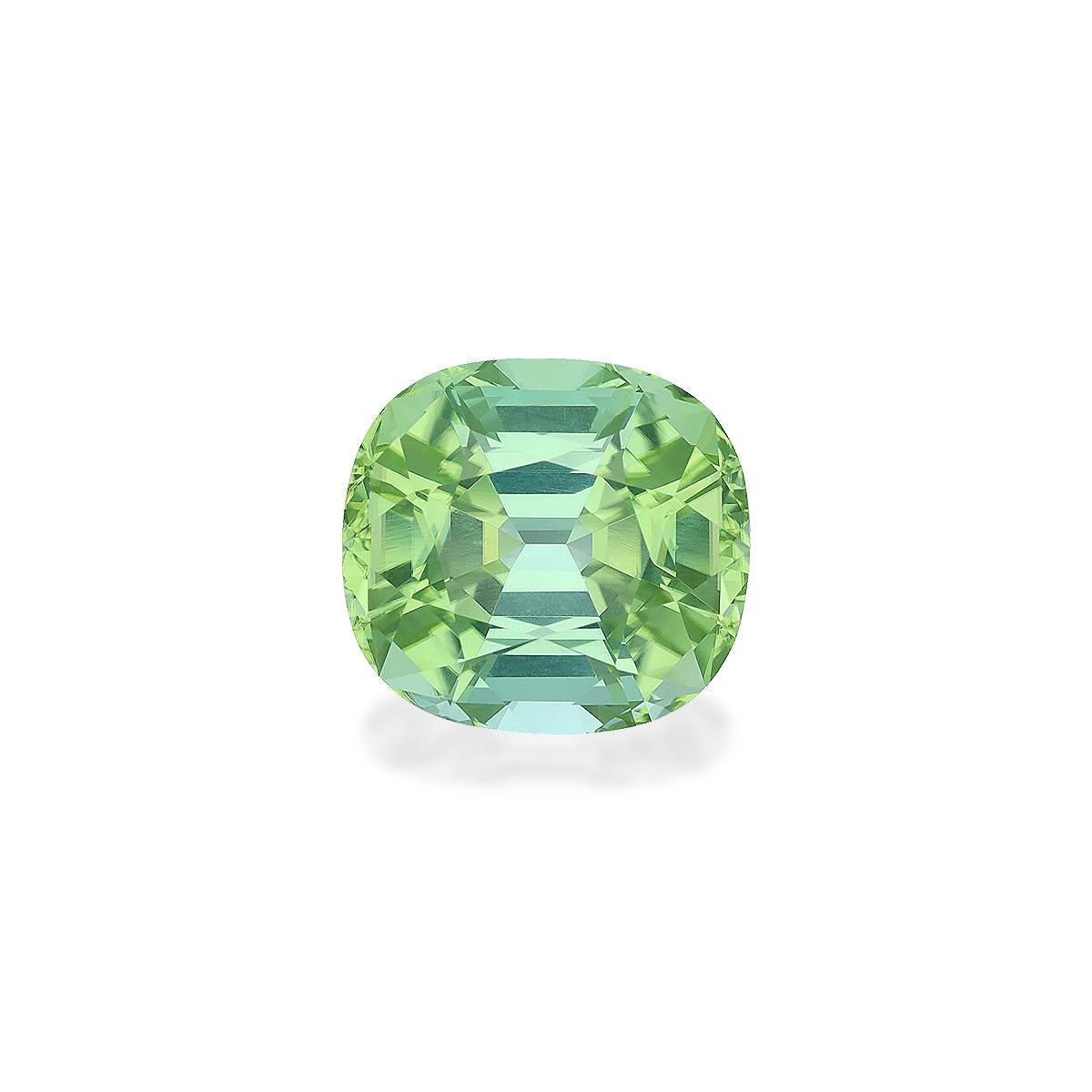 Pale Green Tourmaline 15.97ct