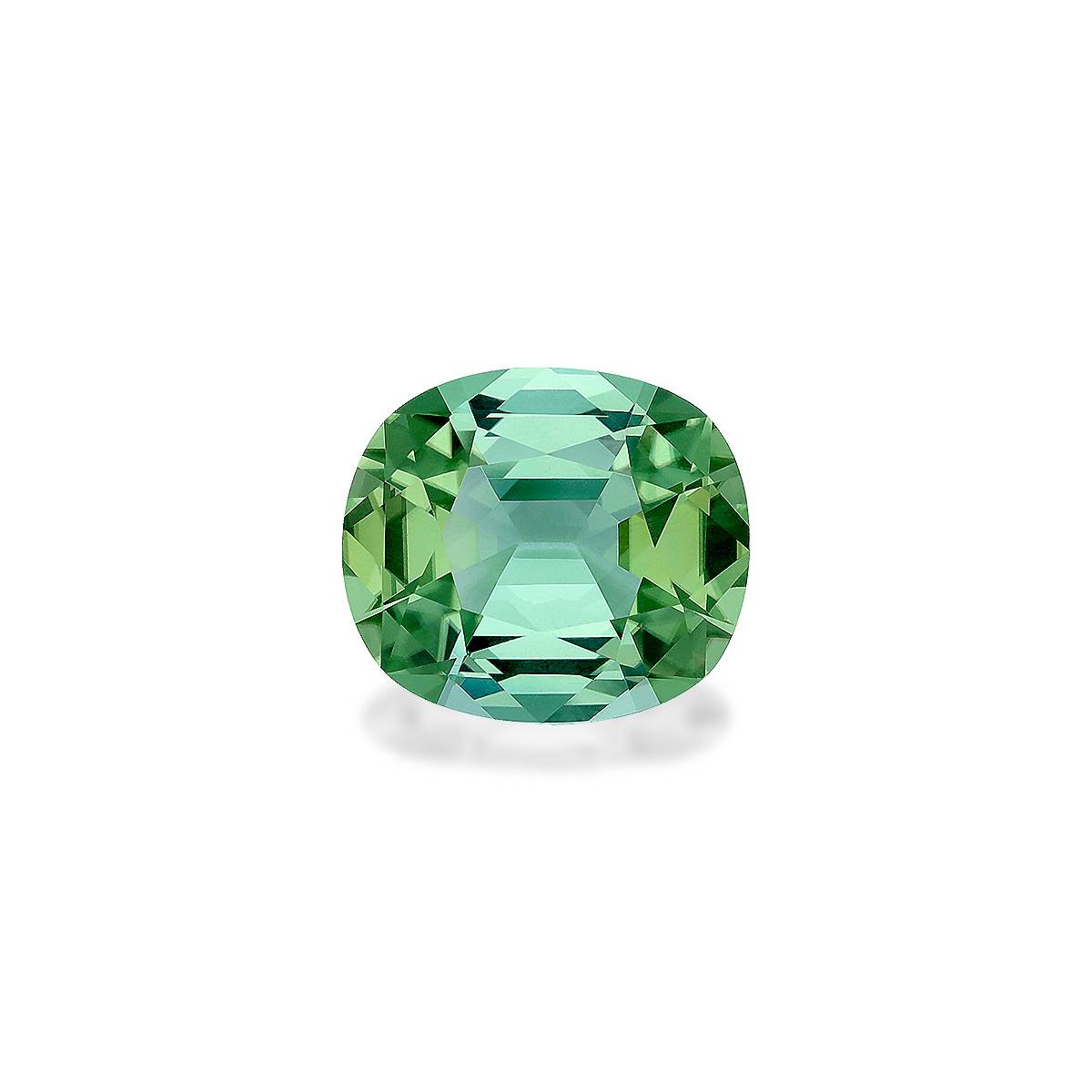 Seafoam Green Tourmaline 9.08ct - 15x13mm