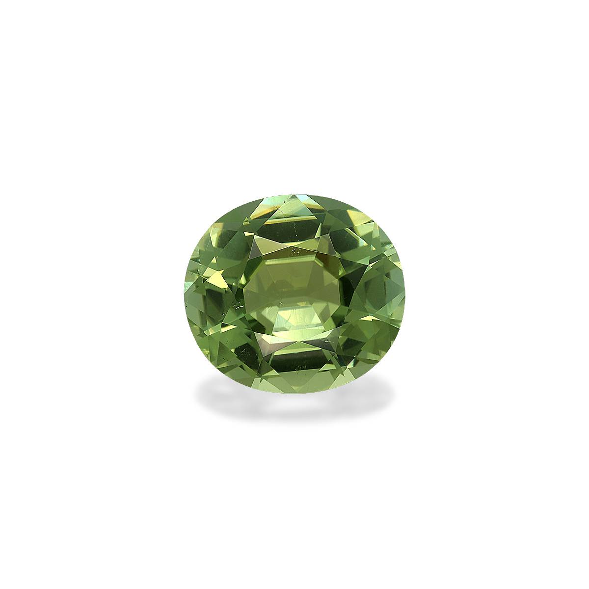 Pistachio Green Tourmaline 23.53ct - 20x18mm