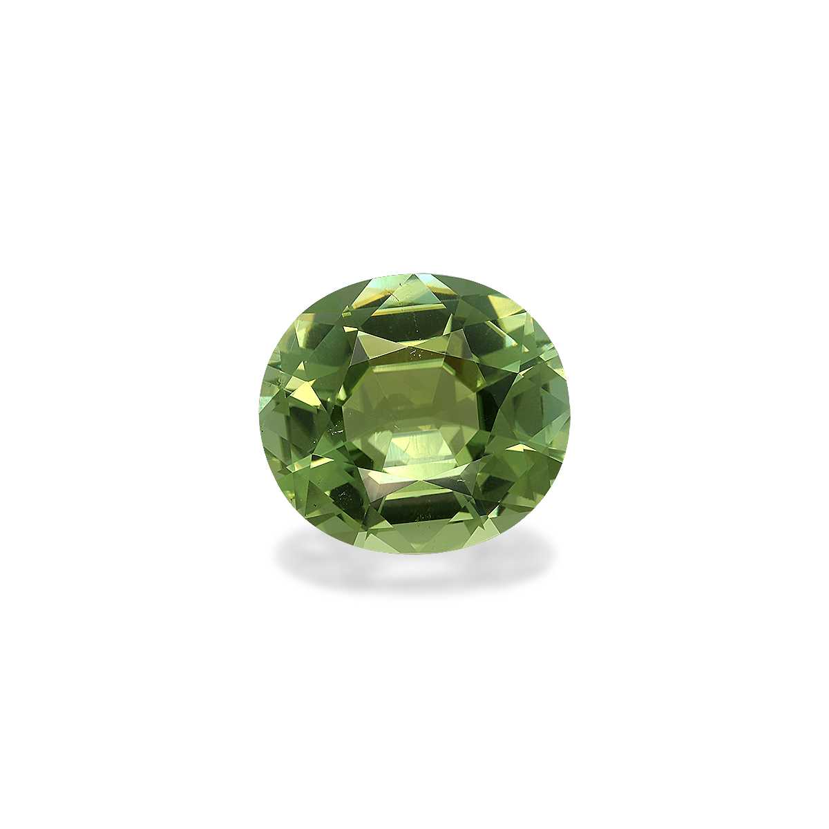Pistachio Green Tourmaline 23.53ct - 20x18mm