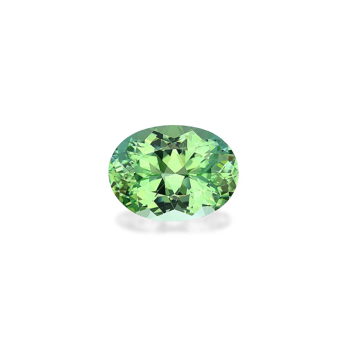 Pistachio Green Tourmaline 11.75ct