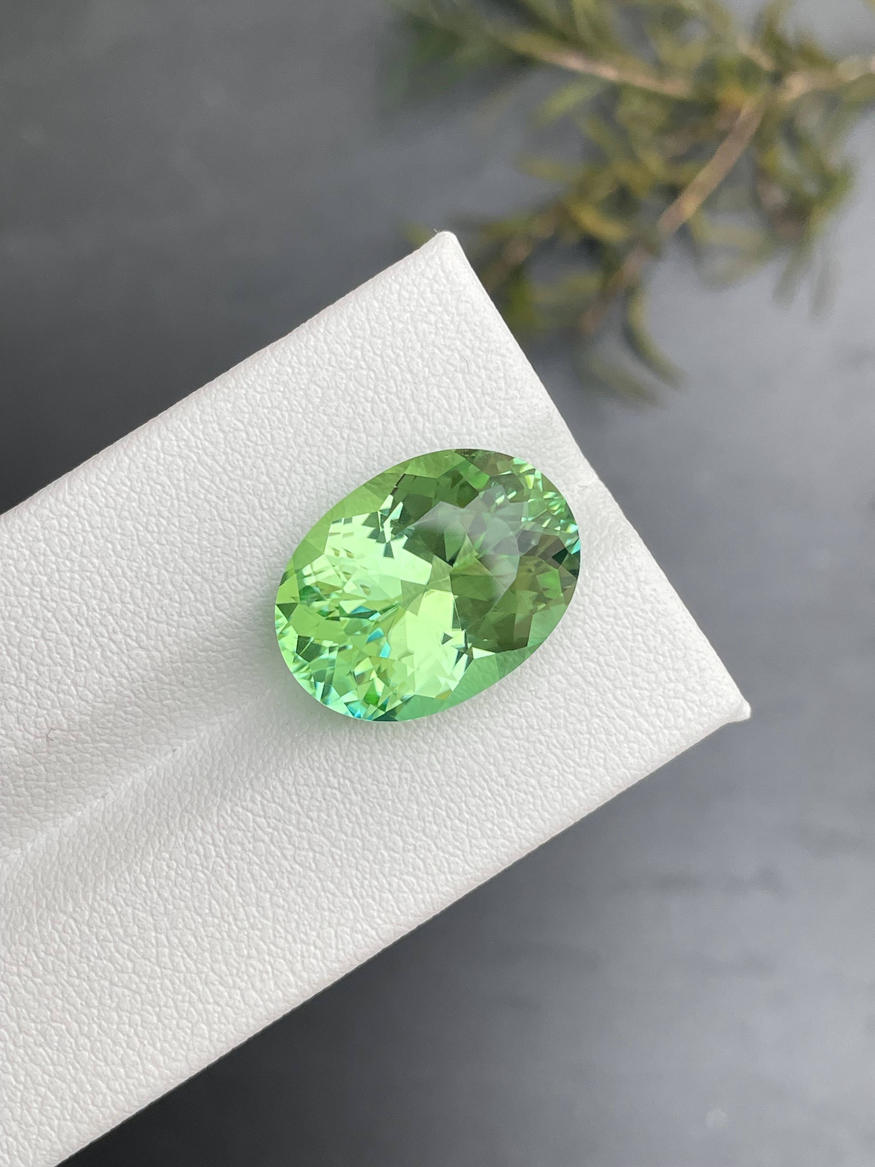 pistachio green green tourmaline, 11.75ct oval cut — view 5