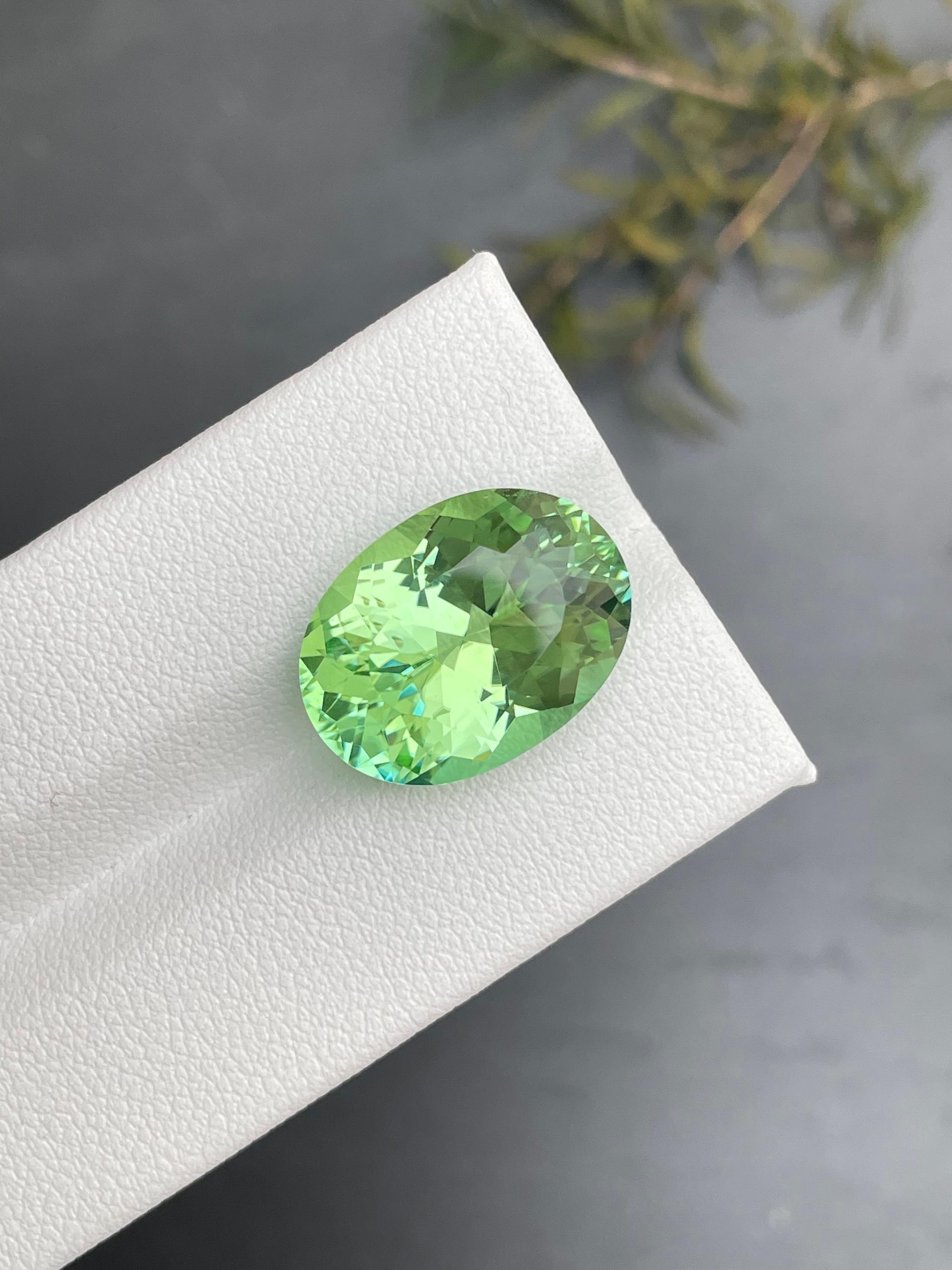 pistachio green green tourmaline, 11.75ct oval cut — view 5