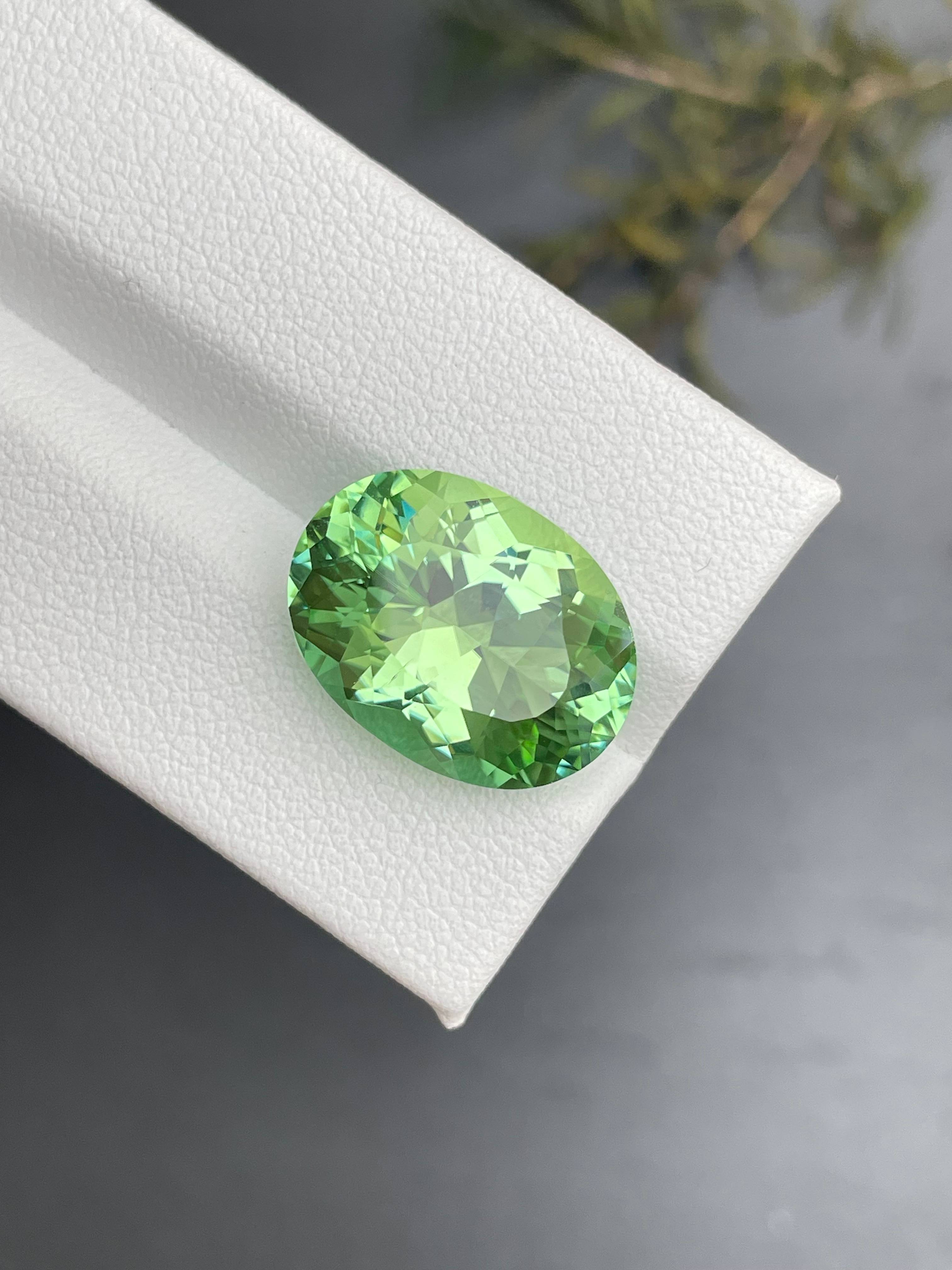 pistachio green green tourmaline, 11.75ct oval cut — view 6