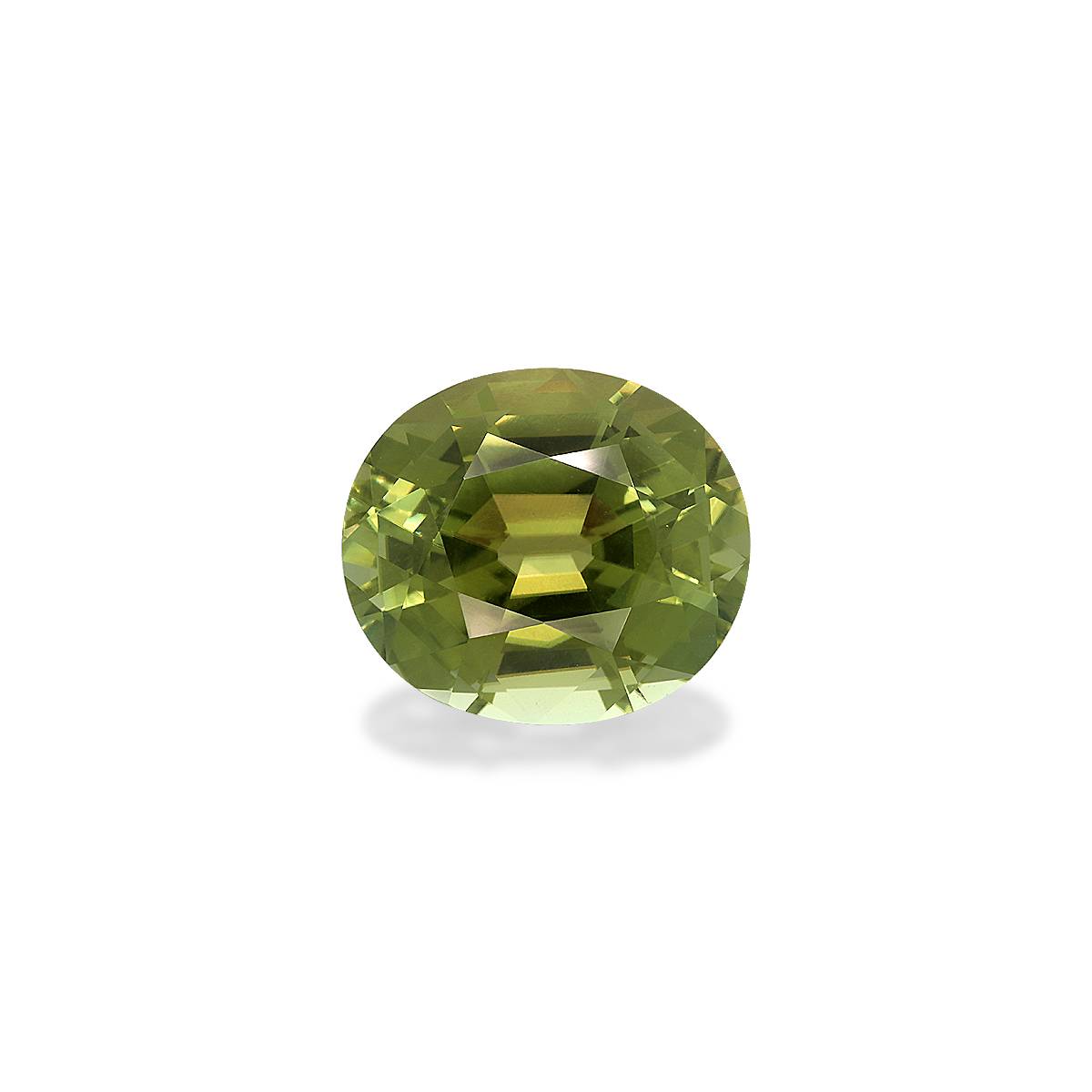 Forest Green Tourmaline 15.18ct - 17x15mm