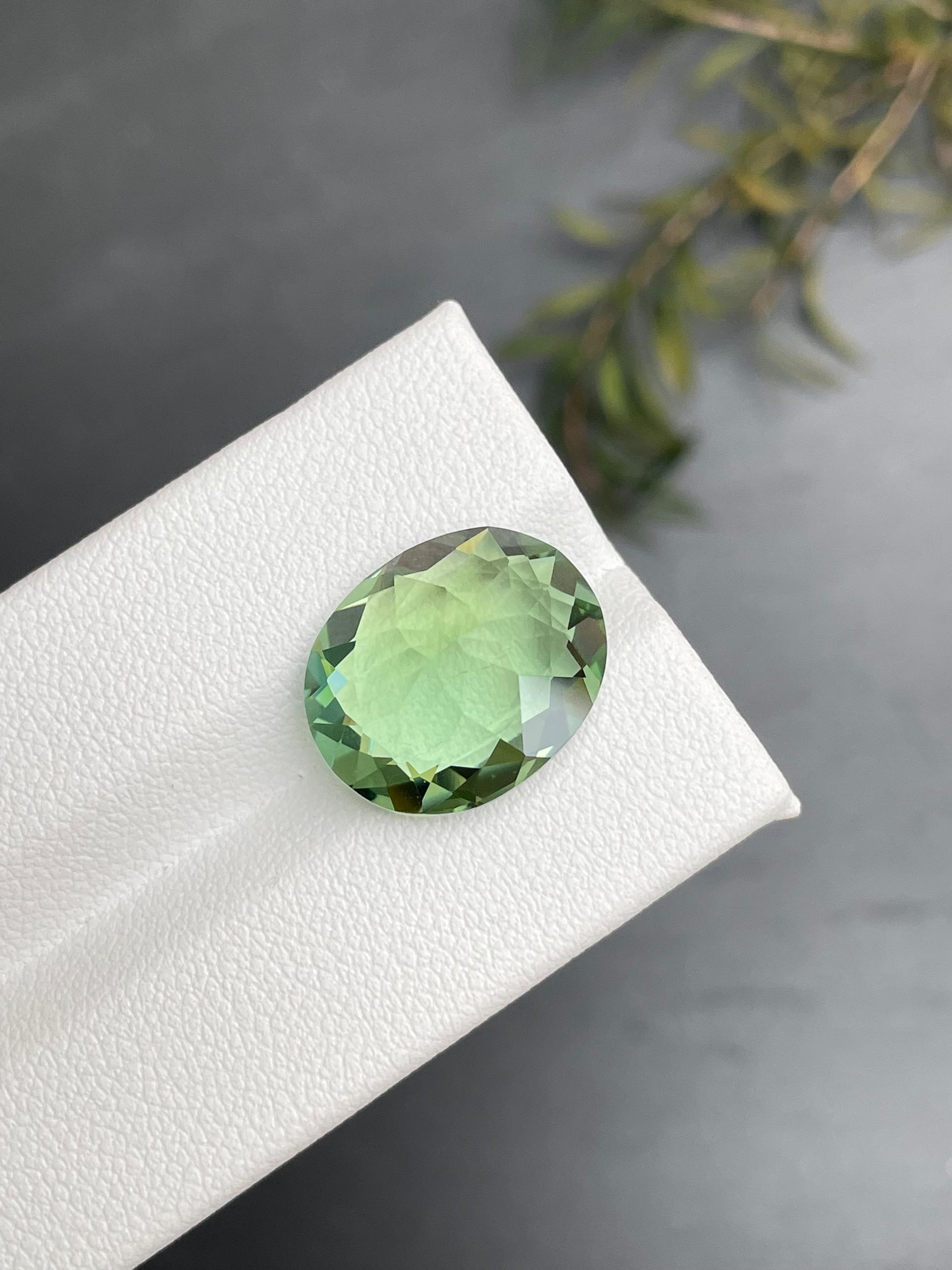 pistachio green green tourmaline, 10.81ct oval cut — view 7